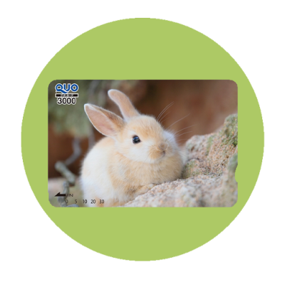 ウキウキウォーカーズ